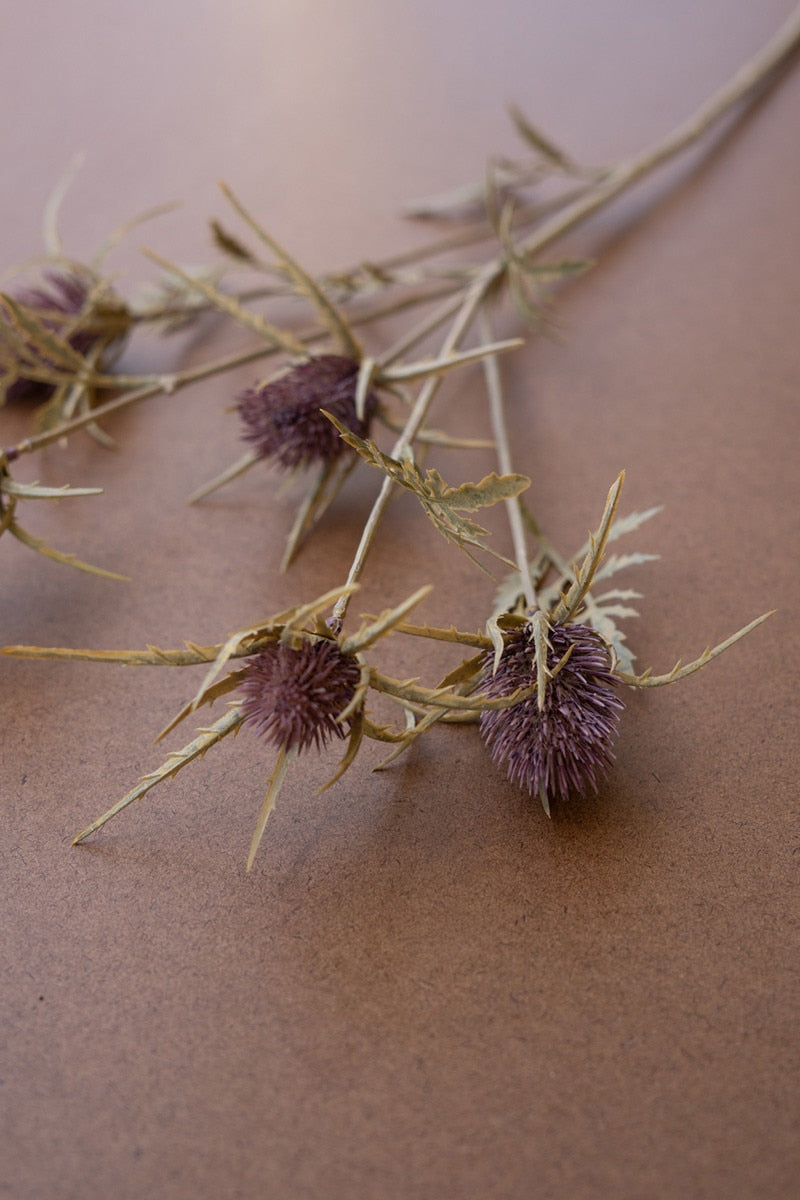 Bundle Thistle Spray