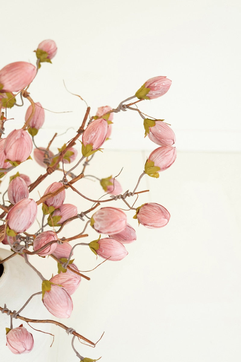 Botanica #3572