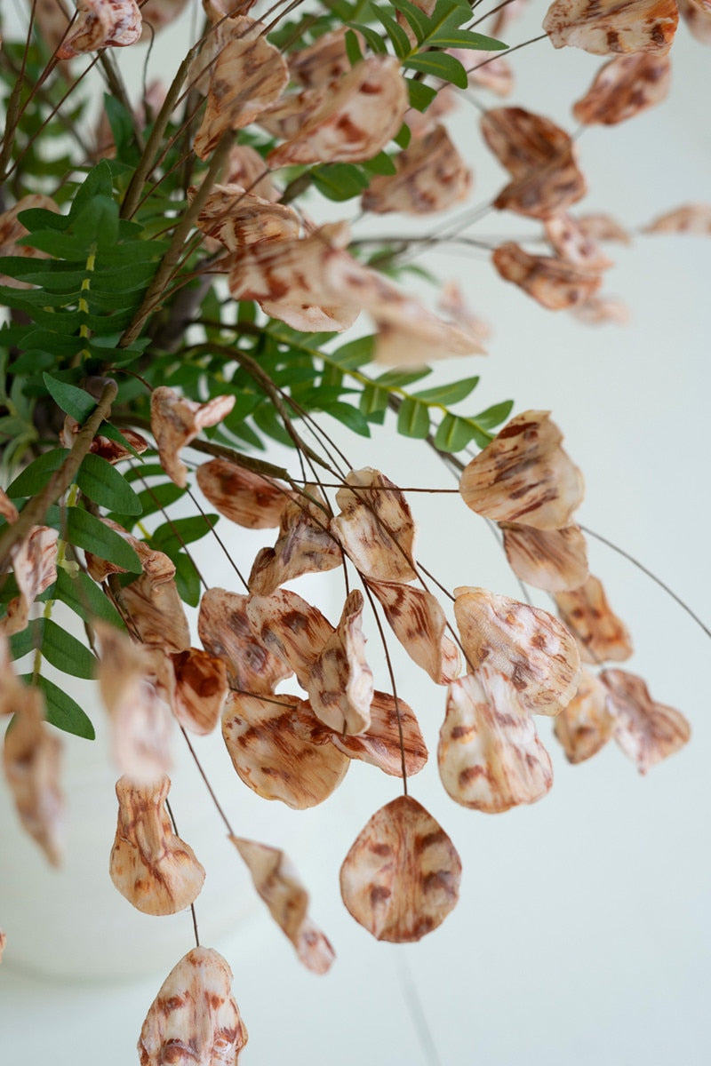 Botanica #3576
