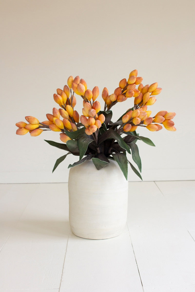 Botanica #3577