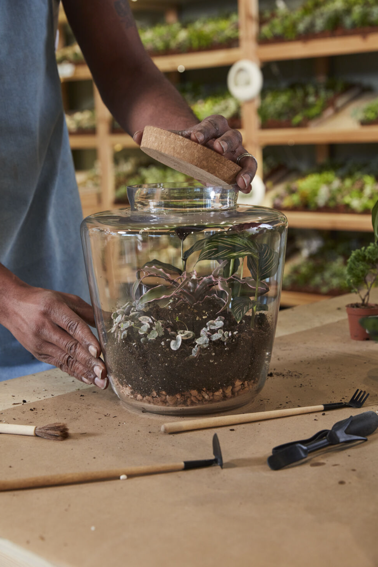 Message Terrarium
