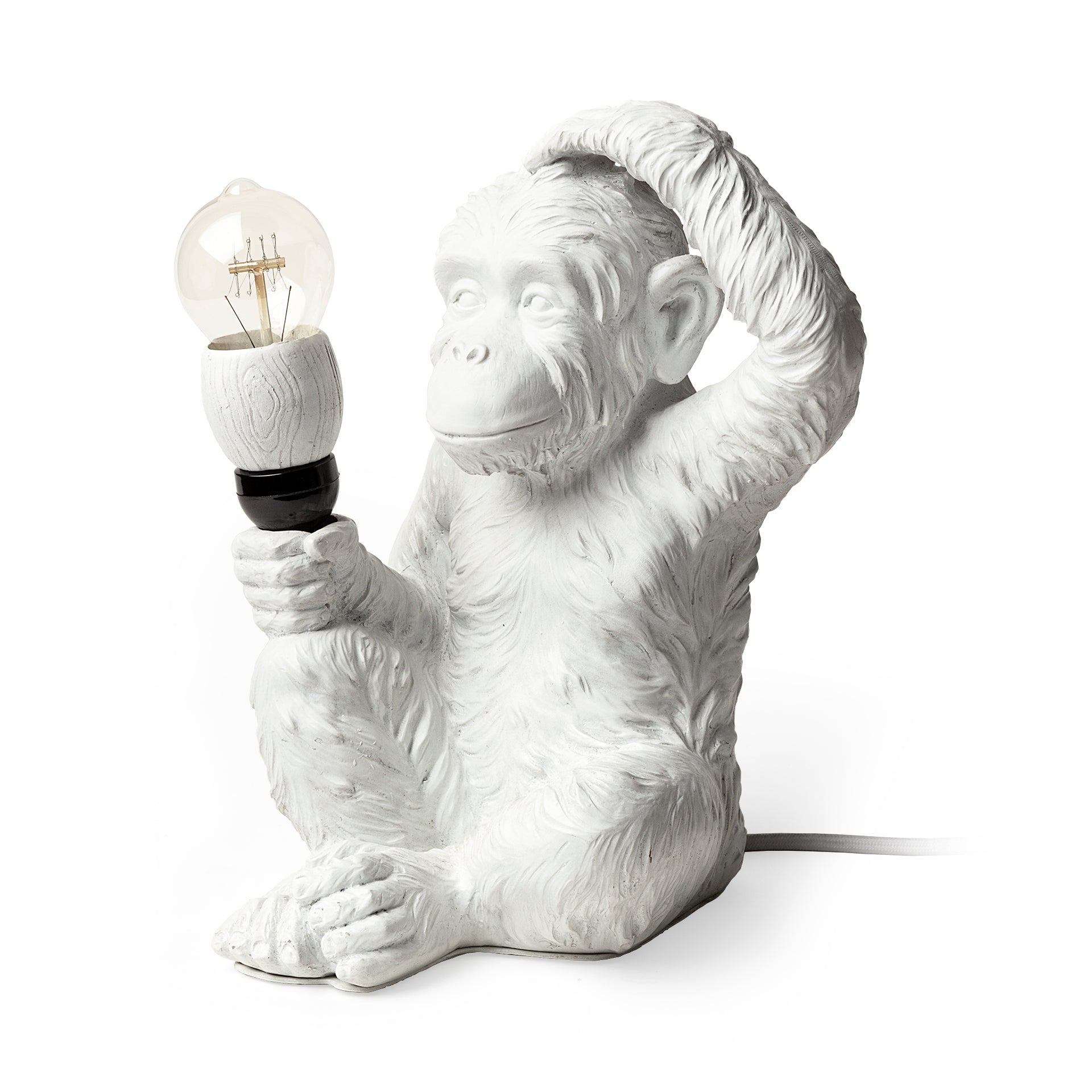 Simia Lamp