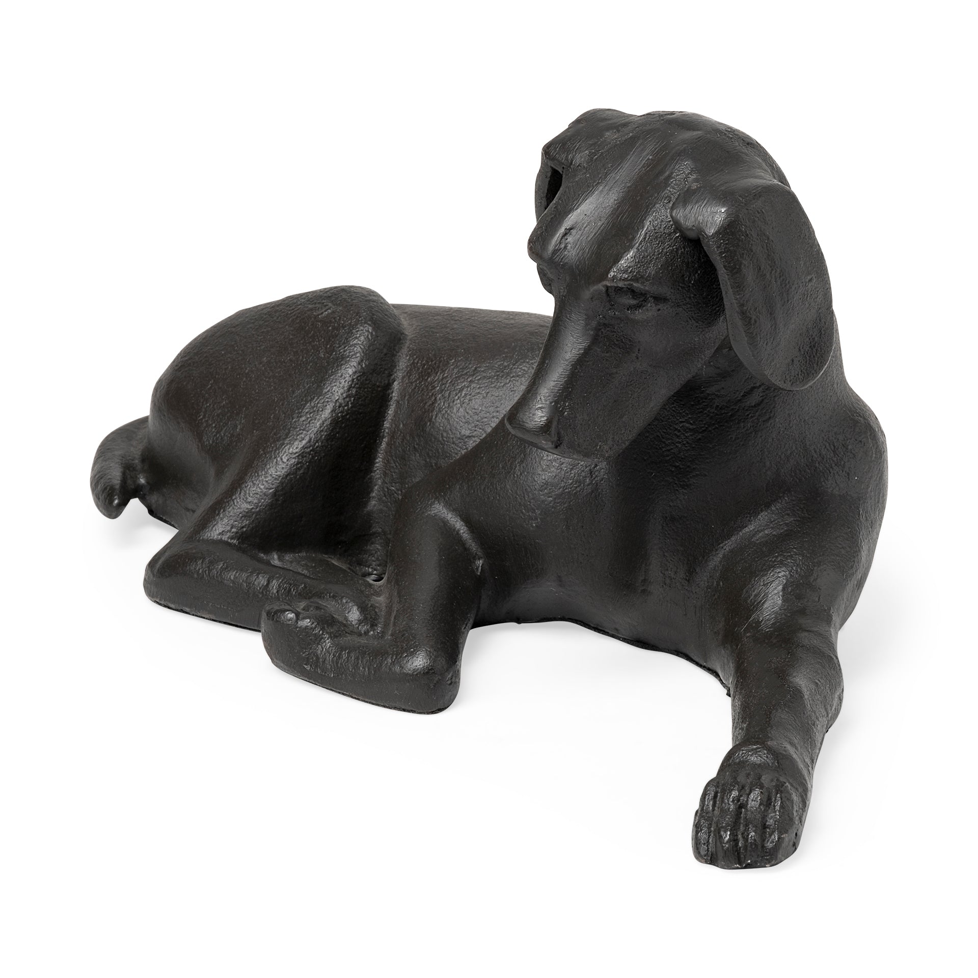 Czar the Labrador Retriever