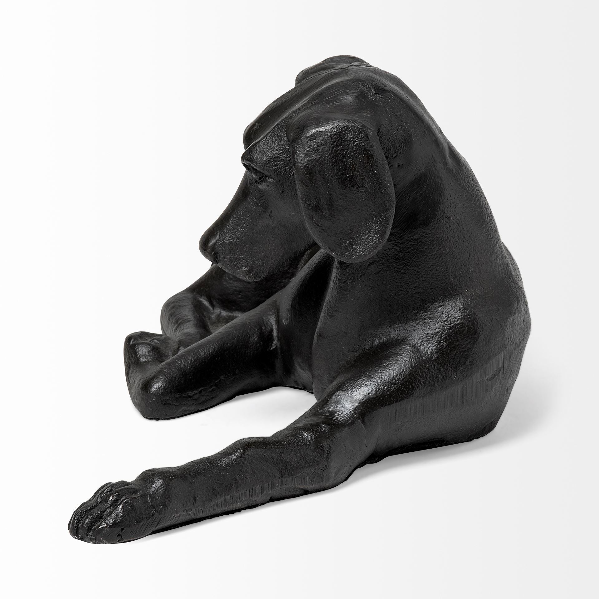 Czar the Labrador Retriever