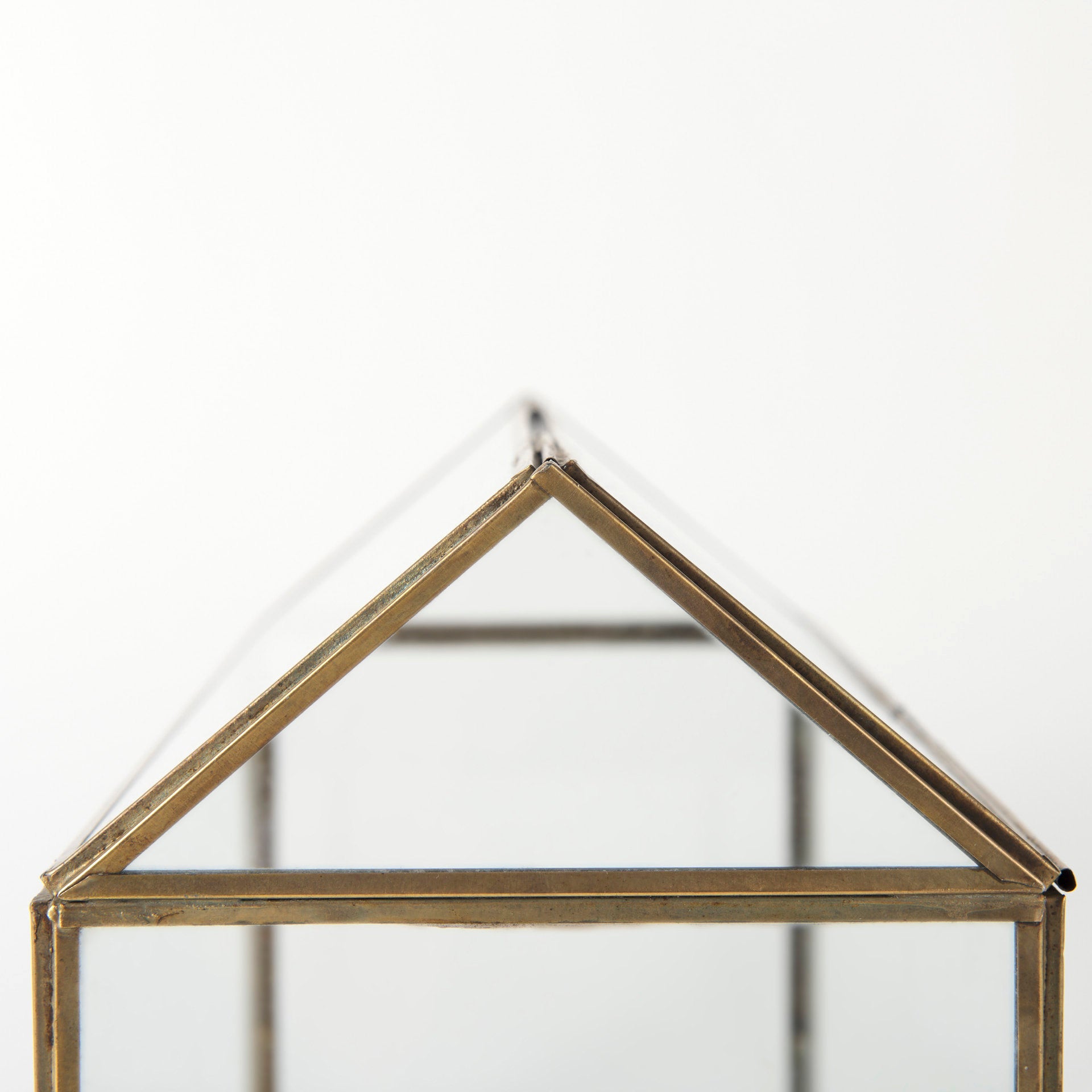 Hutt Terrarium Box