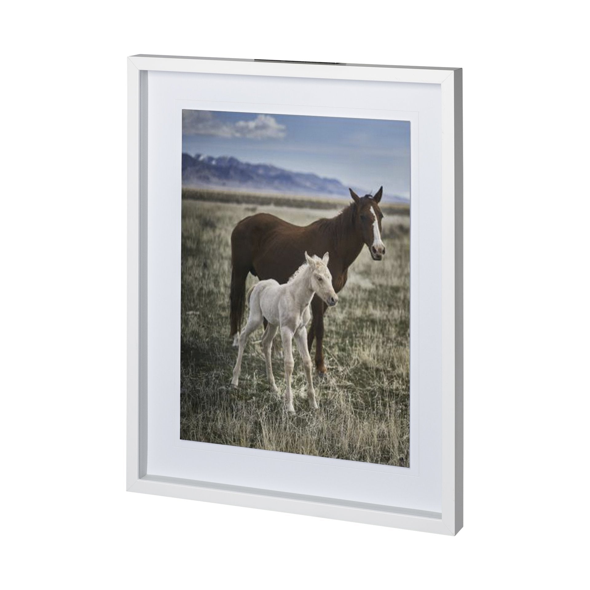 FRAMED