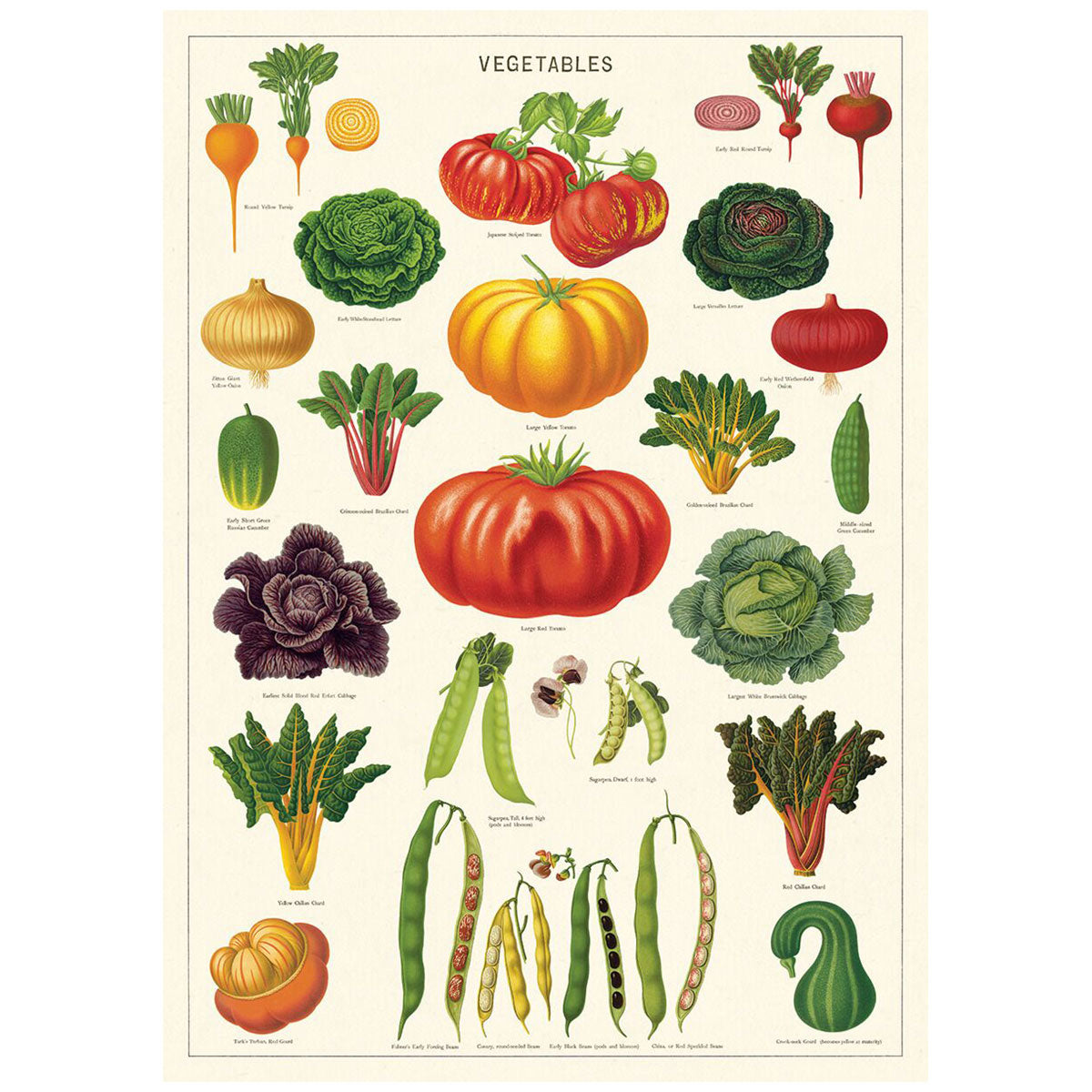 Poster Print A-L