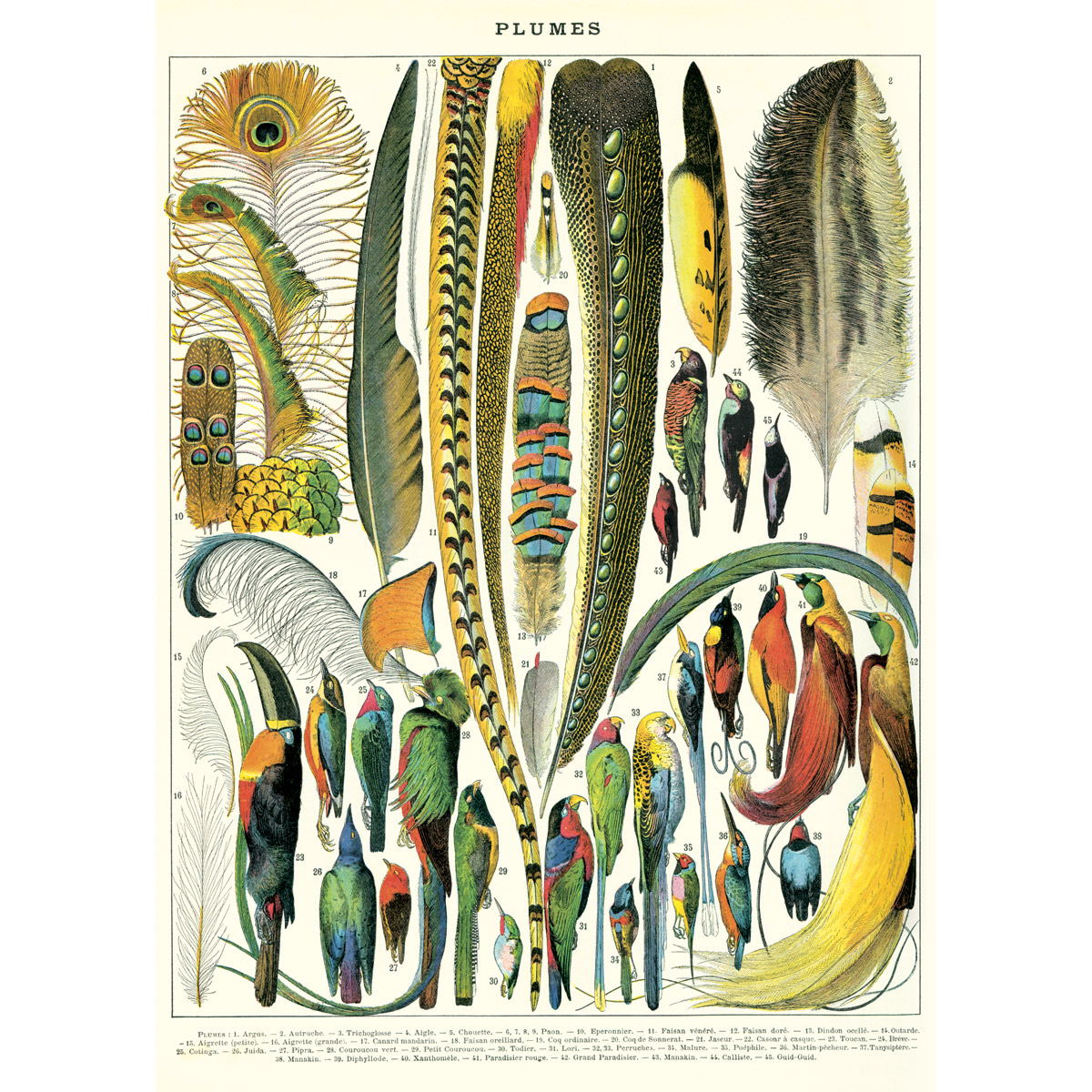 Poster Print M-Z