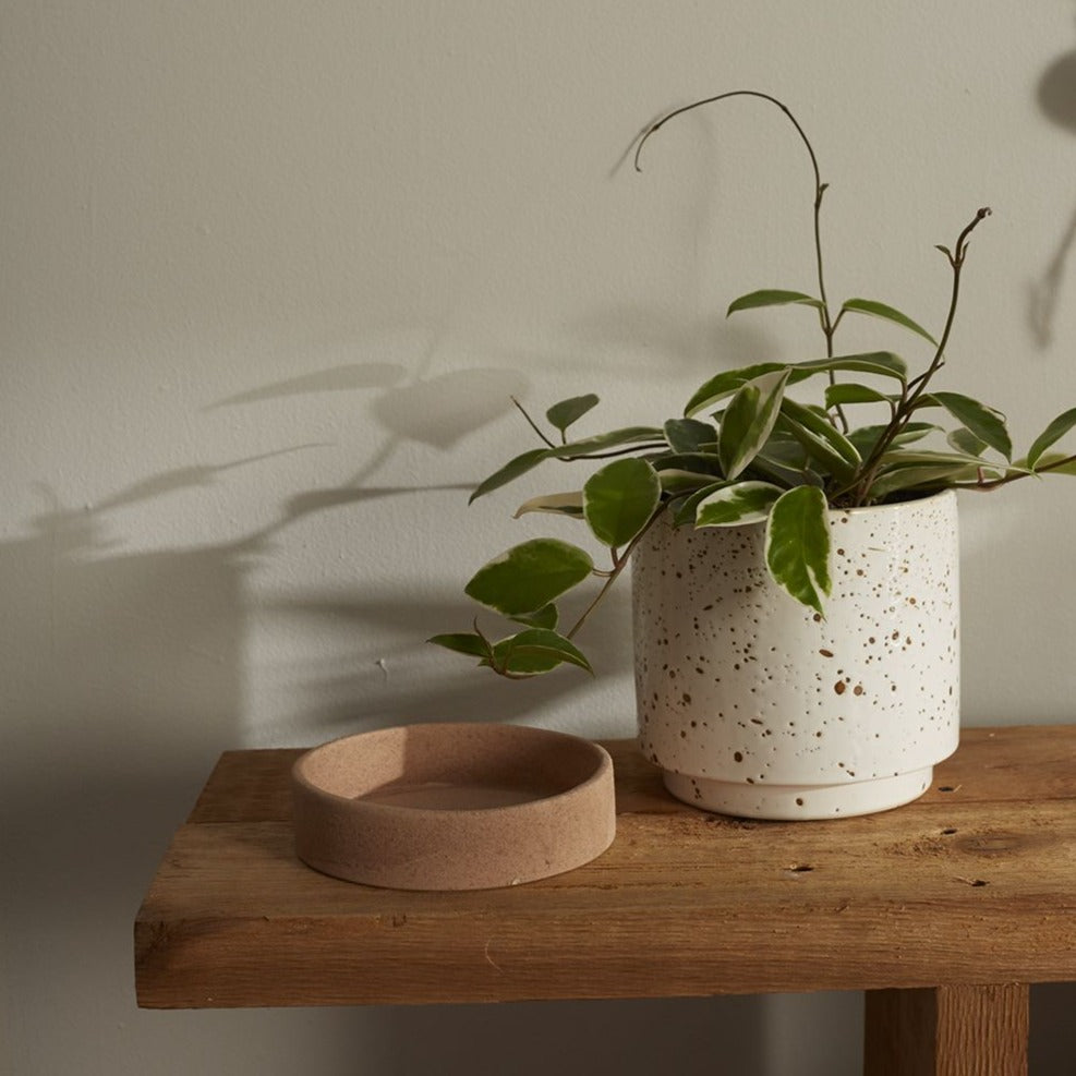Briar Pot