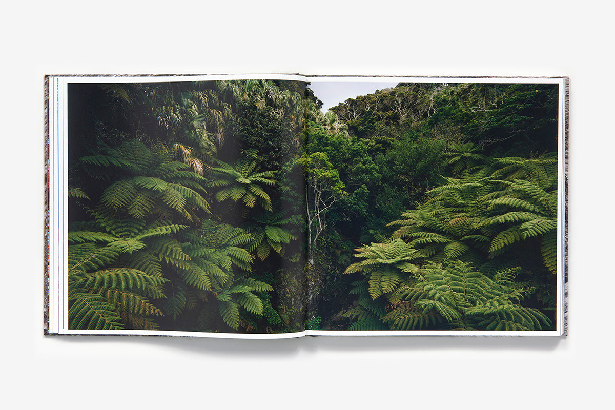 The Life & Love of the Forest by Lewis Blackwell