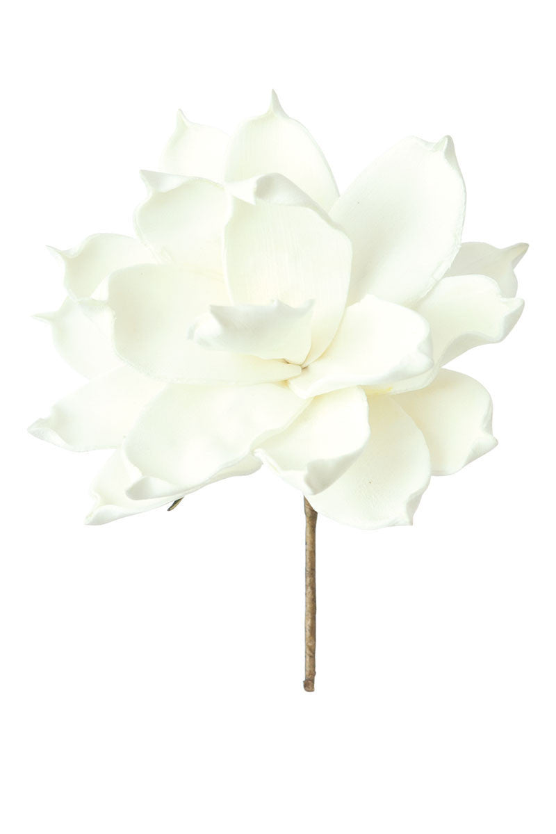 White Short Stem Flower