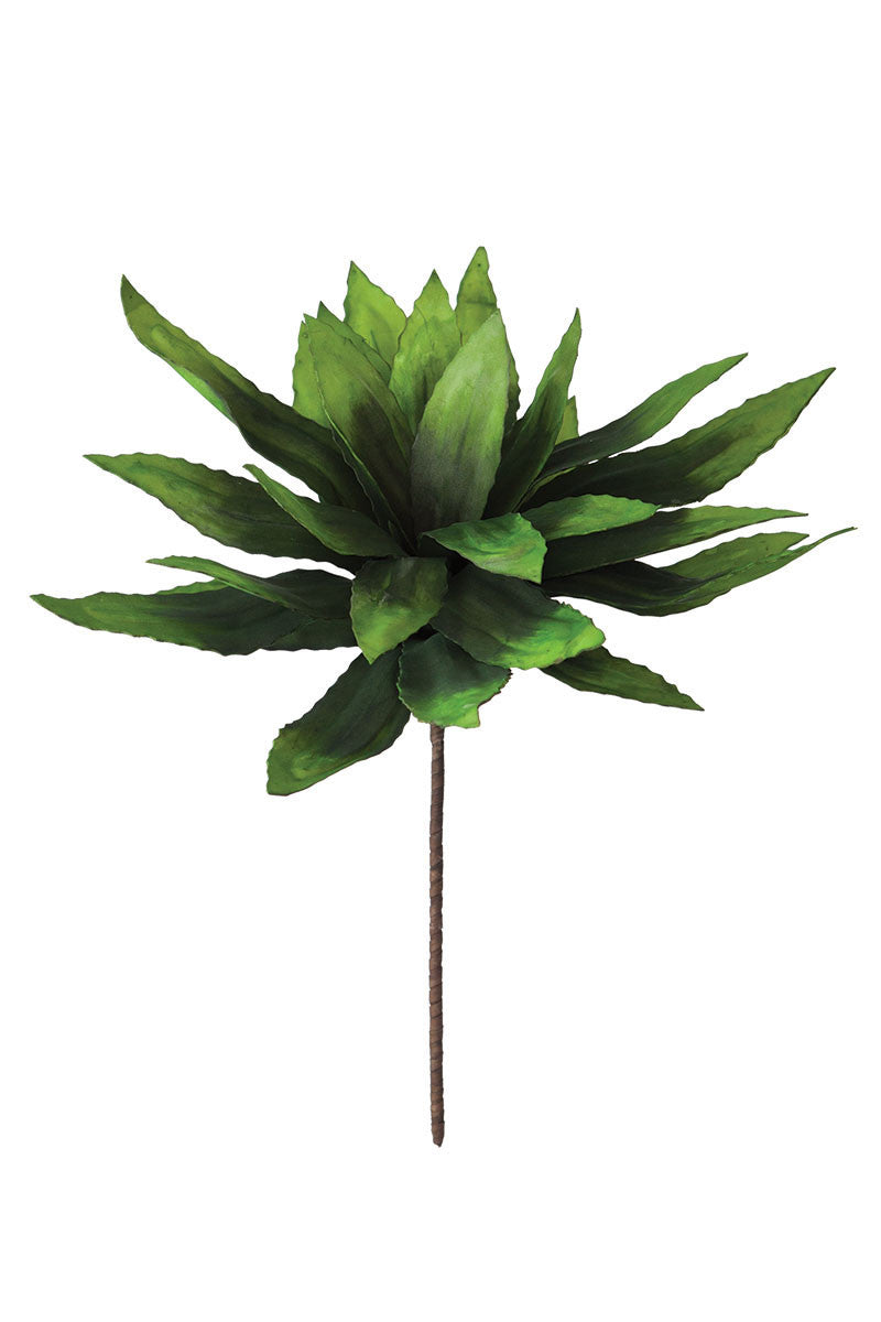 Botanica #294