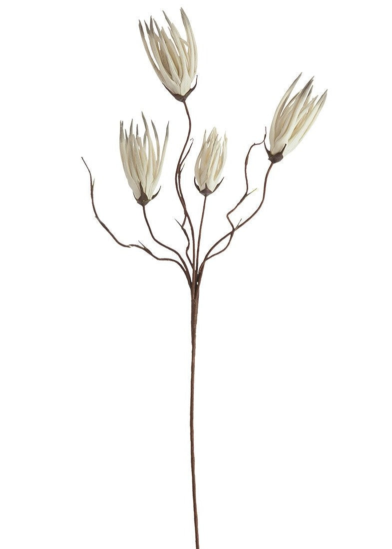 Botanica #502