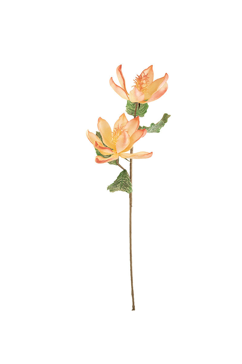 Botanica #3214*