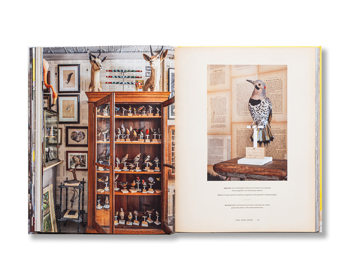 Sean Scherer’s Kabinett & Kammer: Creating Authentic Interiors