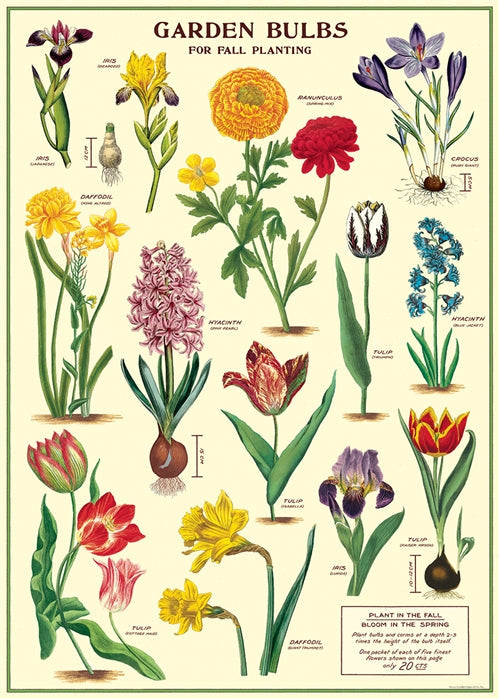 Poster Print M-Z