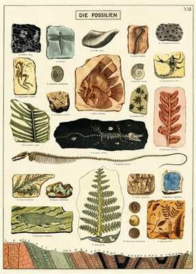 Poster Print A-L