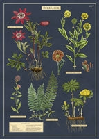 Poster Print A-L
