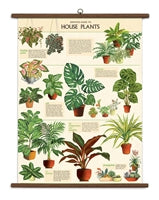 Poster Print M-Z