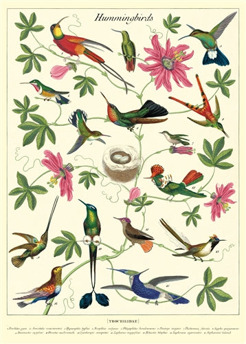 Poster Print A-L