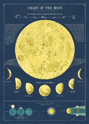Poster Print M-Z