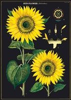 Poster Print M-Z