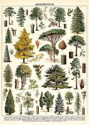Poster Print A-L