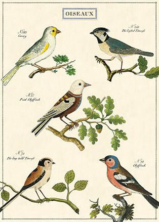 Poster Print A-L