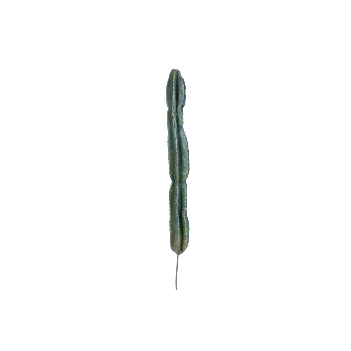 46" Cactus