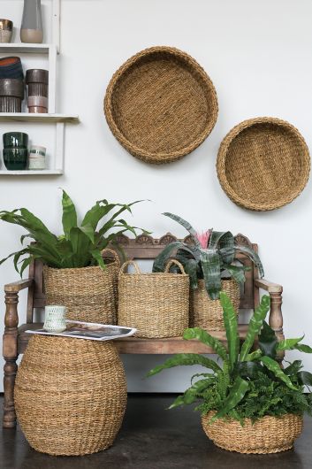 Hacienda Basket