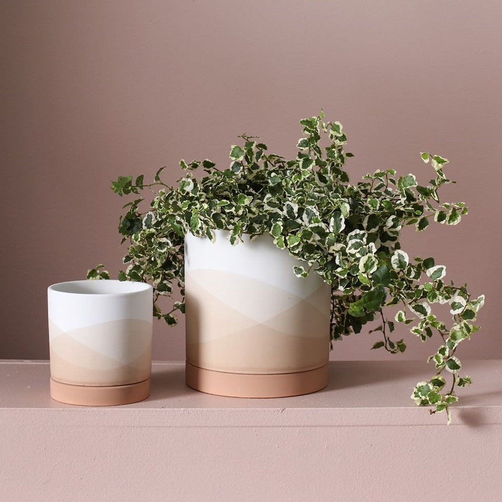 Vesper Pot