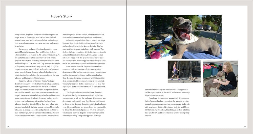 Finding Home: Shelter Dogs & Their Stories