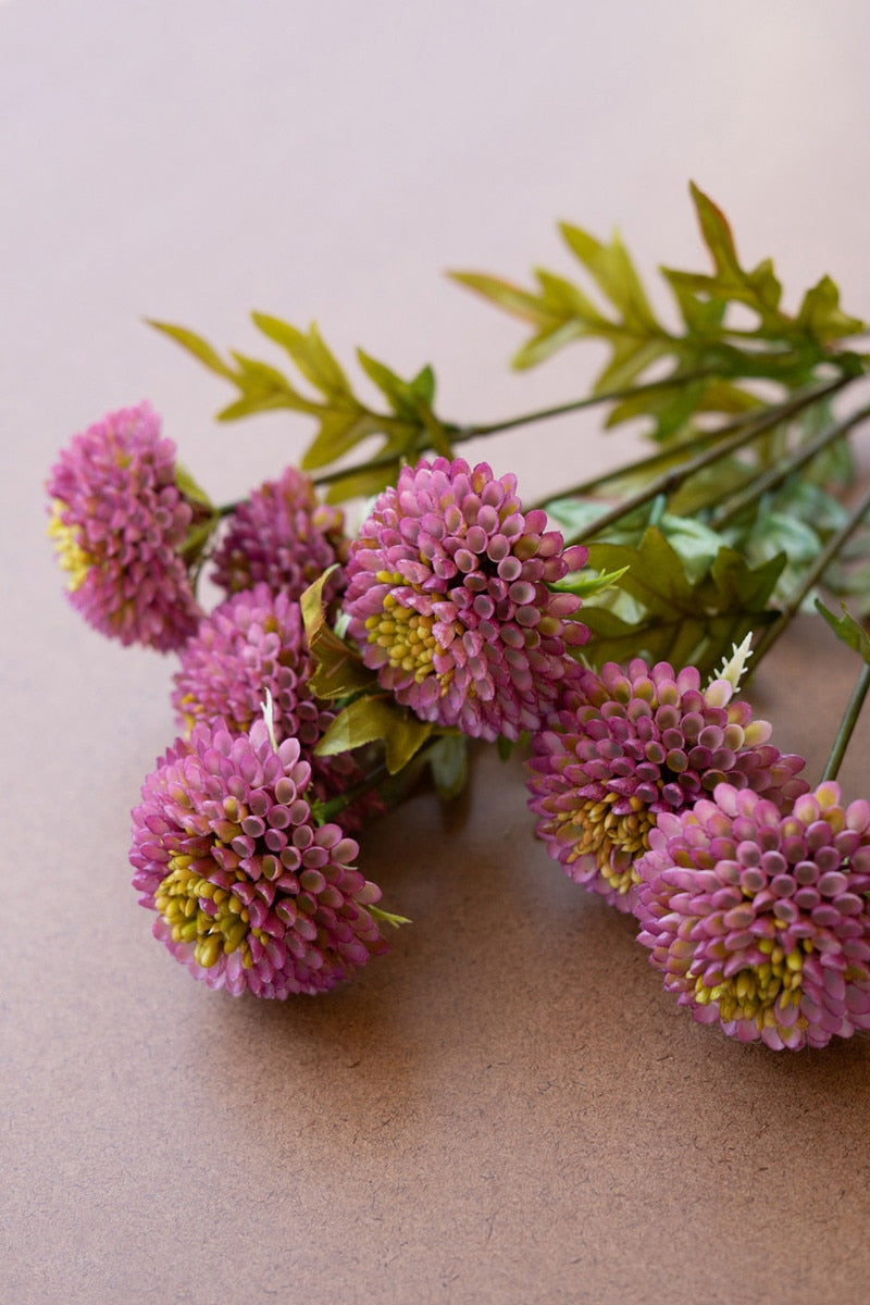 Bundle Purple Ball Dahlias