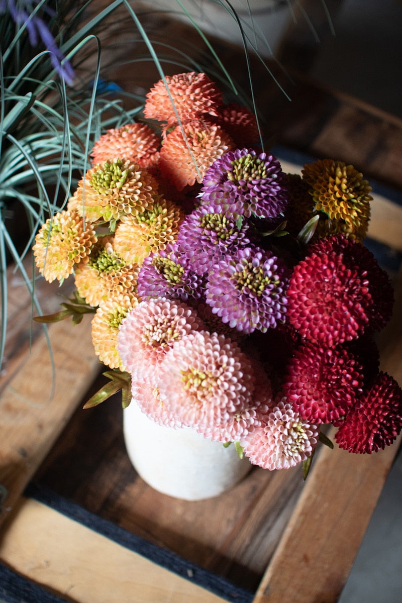 Bundle Orange Ball Dahlias
