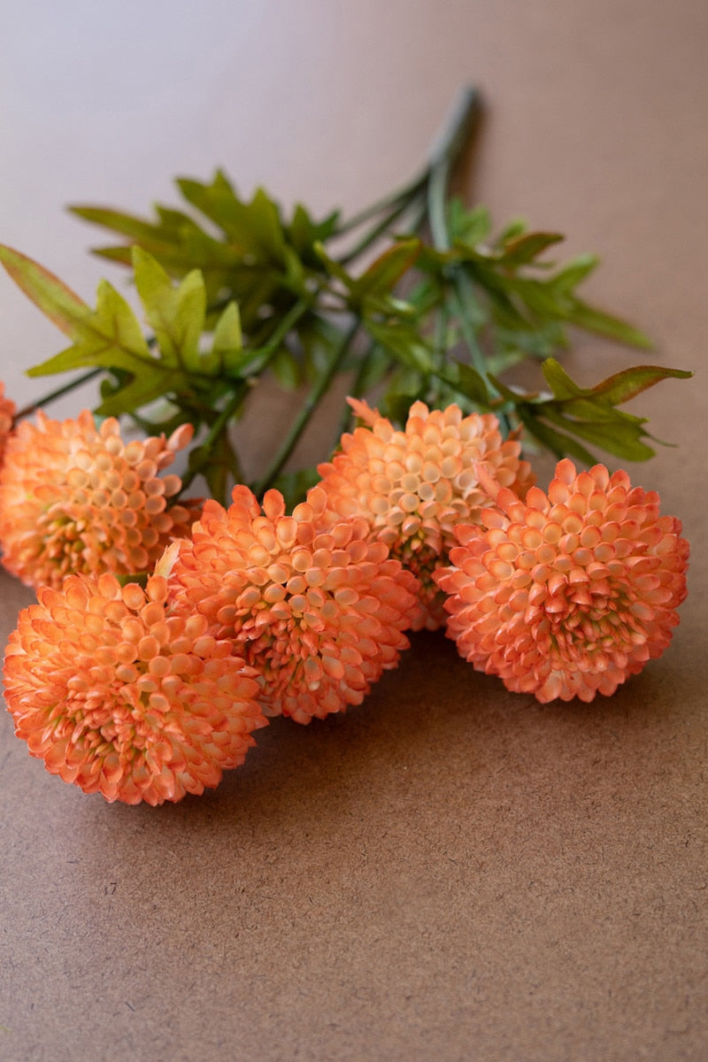 Bundle Orange Ball Dahlias
