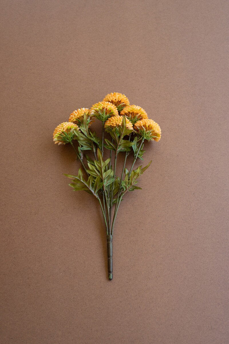 Bundle Yellow Ball Dahlias