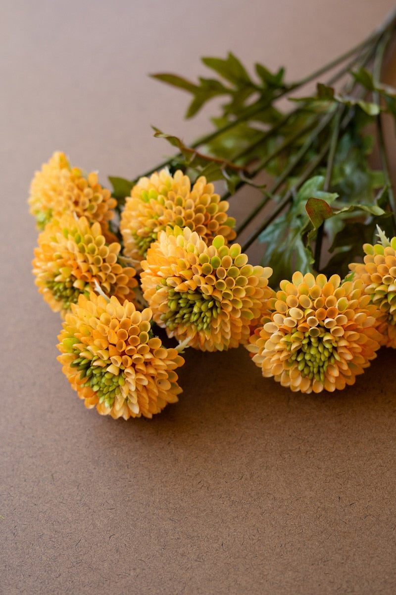 Bundle Yellow Ball Dahlias