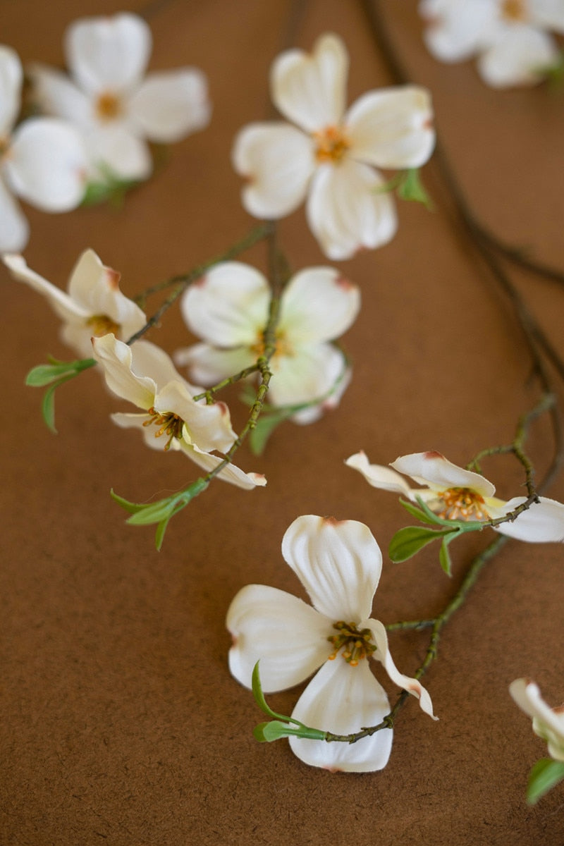 Dogwood Spray