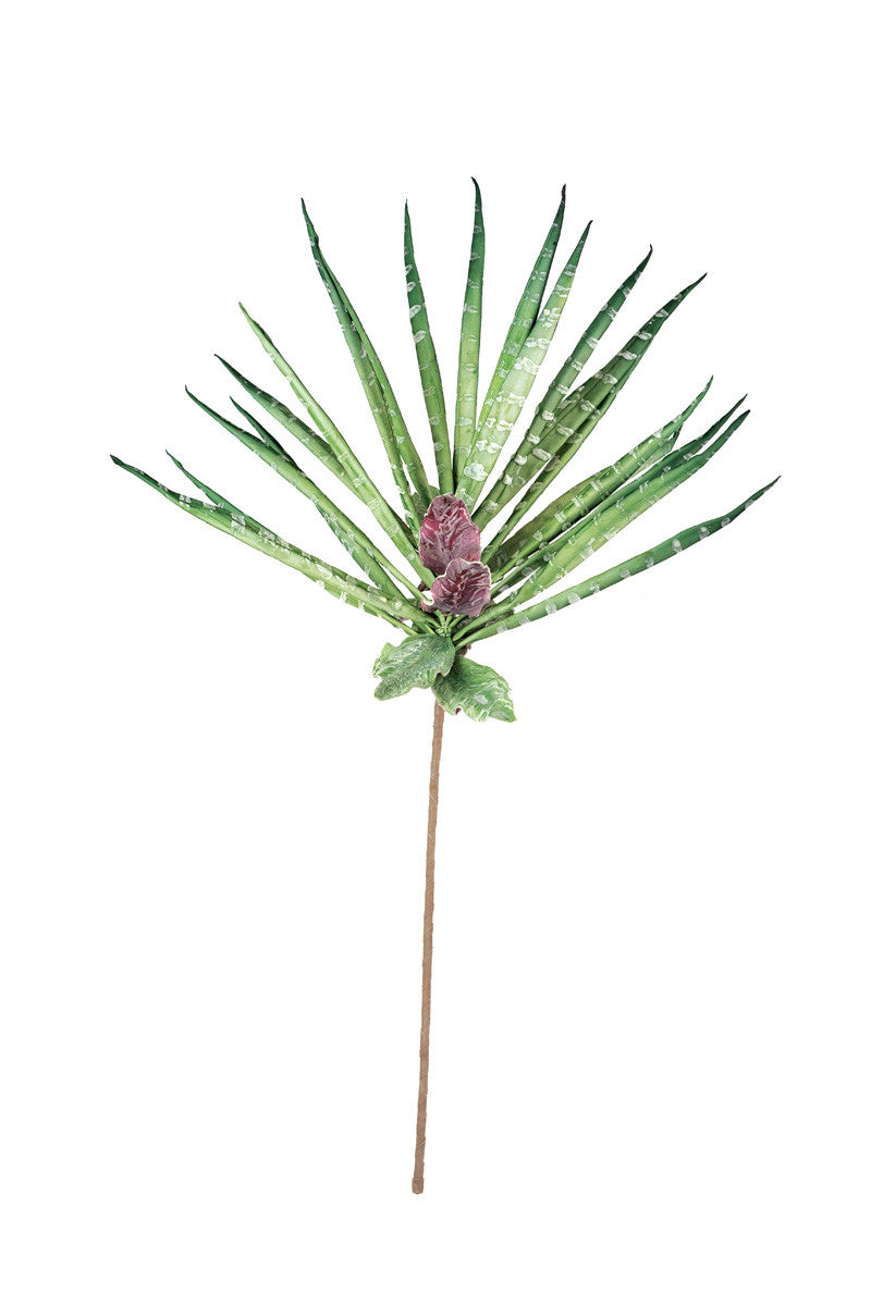 Botanica #3303