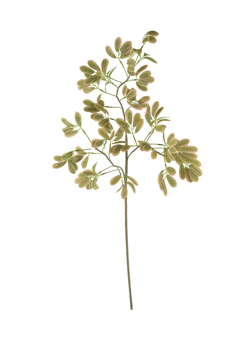 Botanica #3509