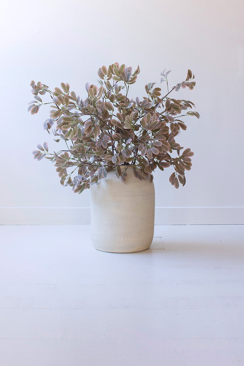 Botanica #3509
