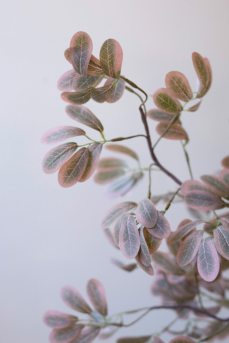 Botanica #3509