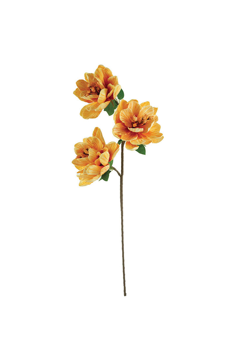 Botanica #3514