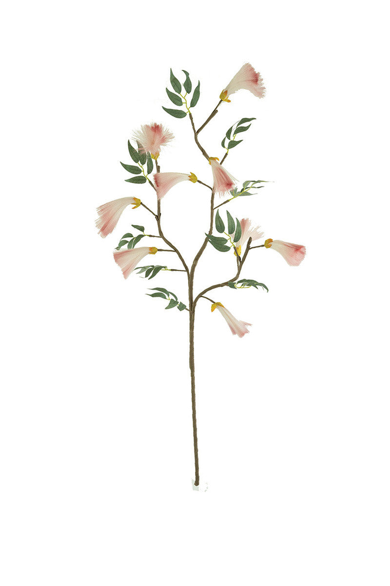Botanica #3524