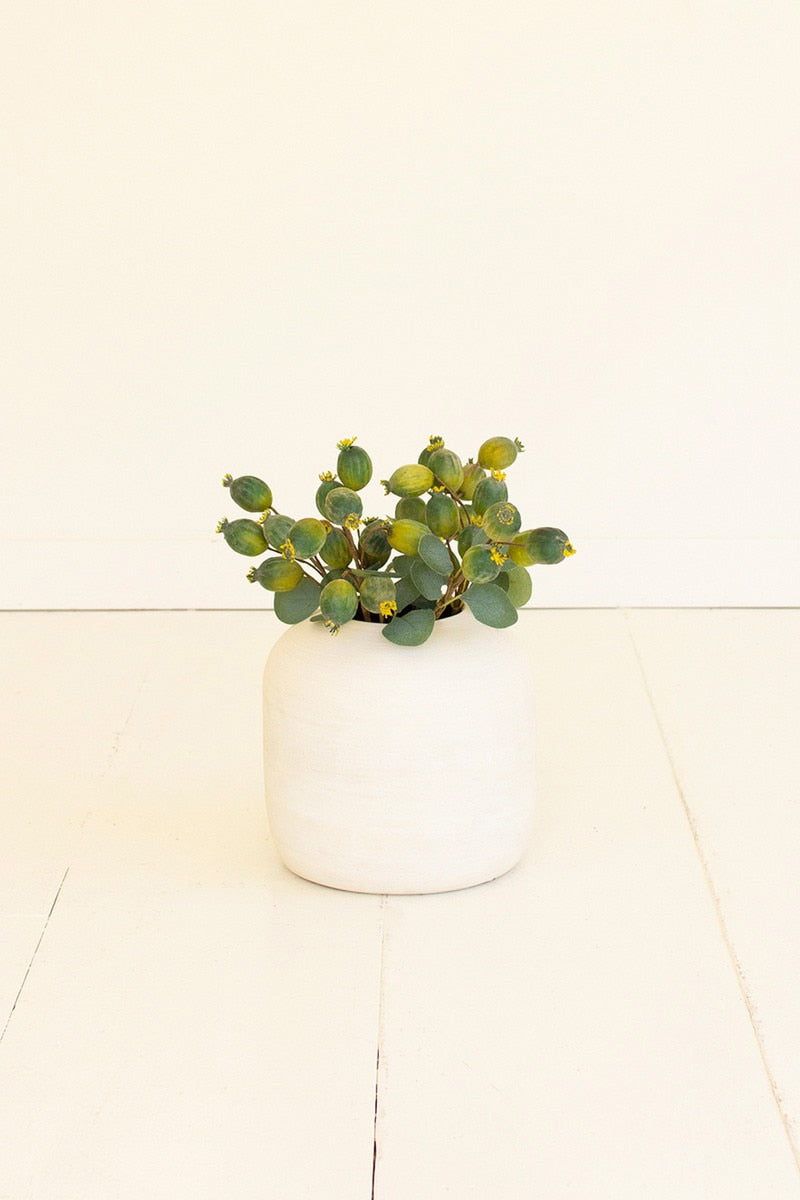 Botanica #3547