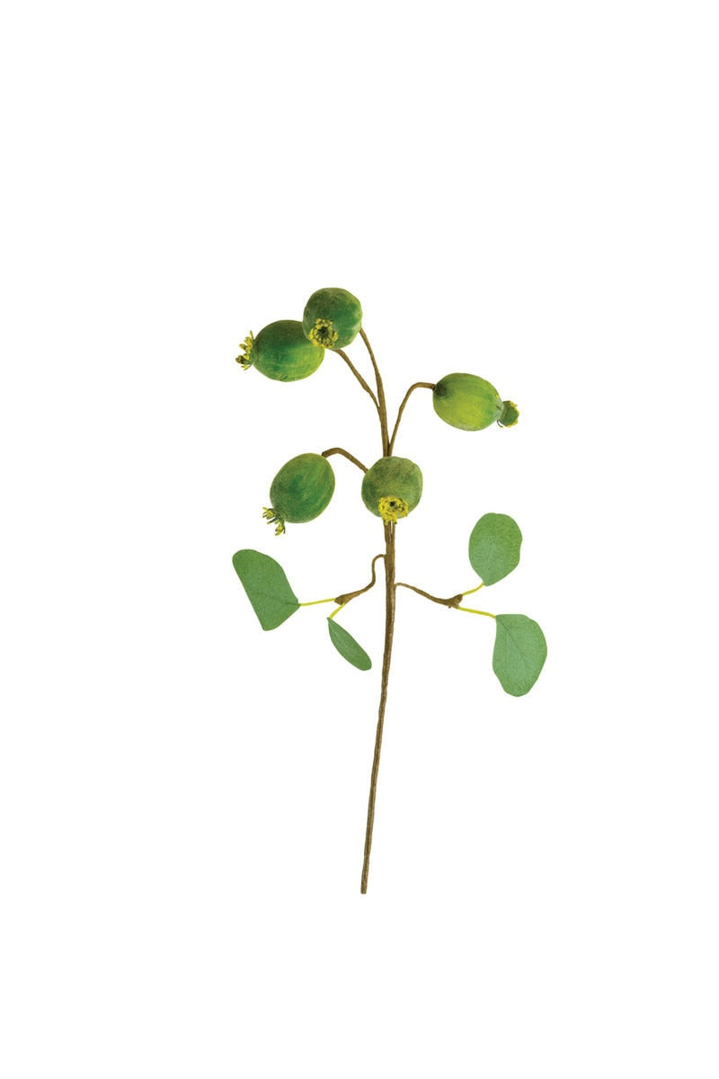 Botanica #3547