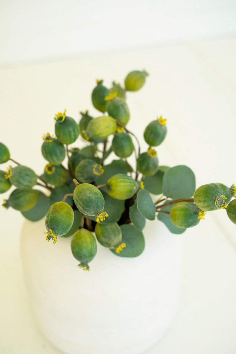 Botanica #3547
