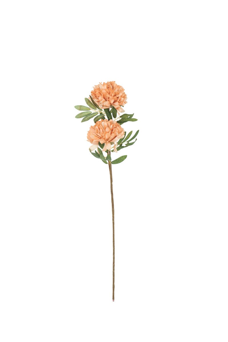 Botanica #3567