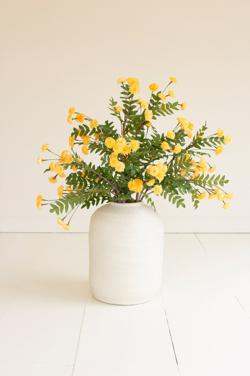 Botanica #3568