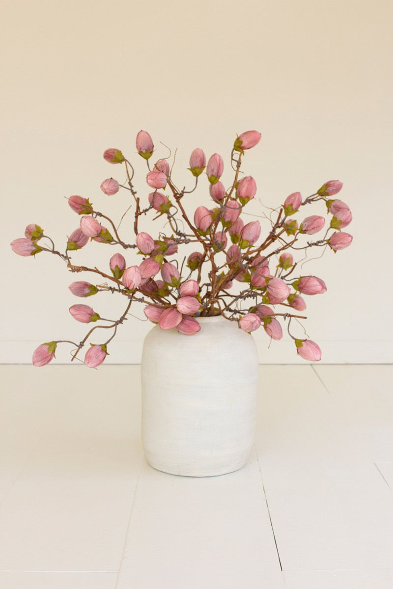 Botanica #3572